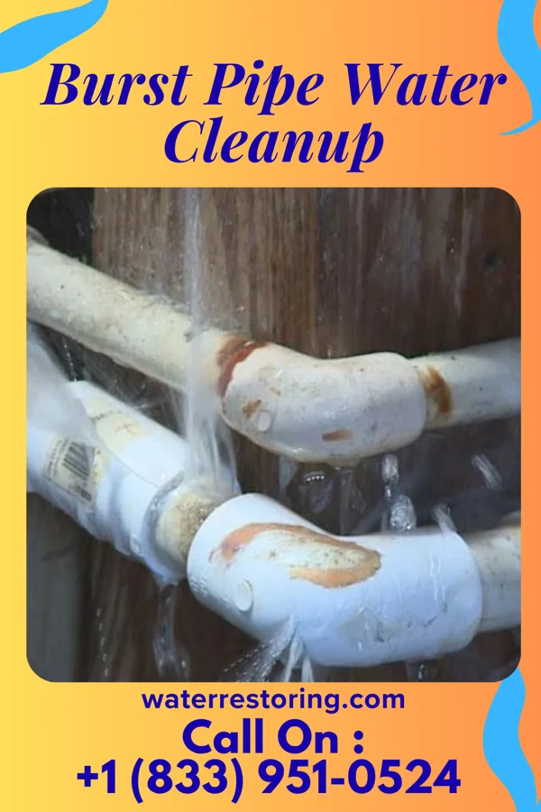 Burst Pipe Water Cleanup in Eden, WI