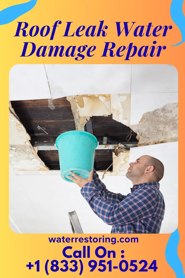 Roof Leak Water Damage Repair in Eden, WI