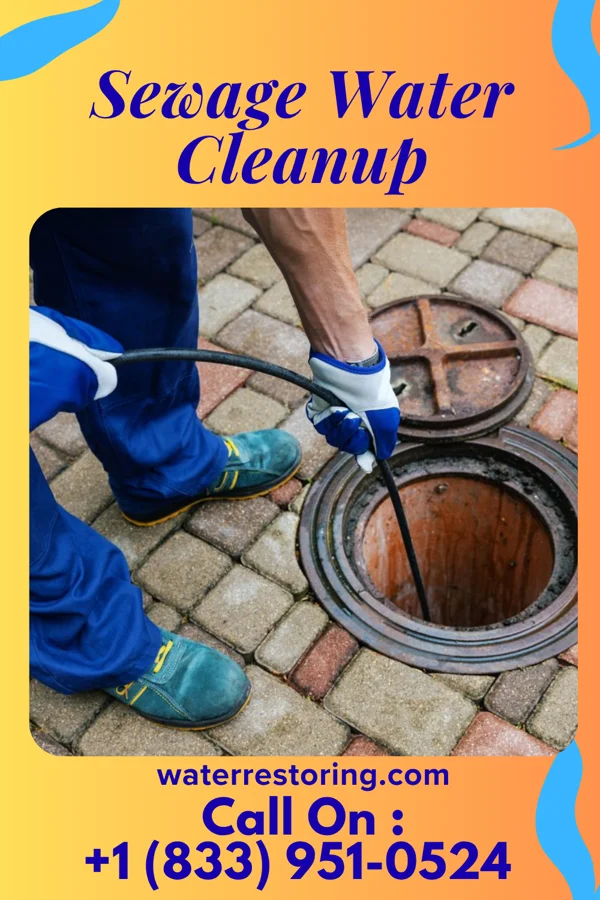 Sewage Water Cleanup in Eden, WI