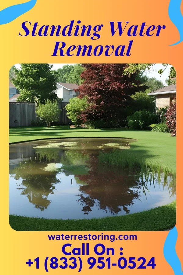 Standing Water Removal in Eden, WI